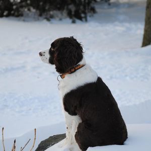 Meet your Posher, Margie